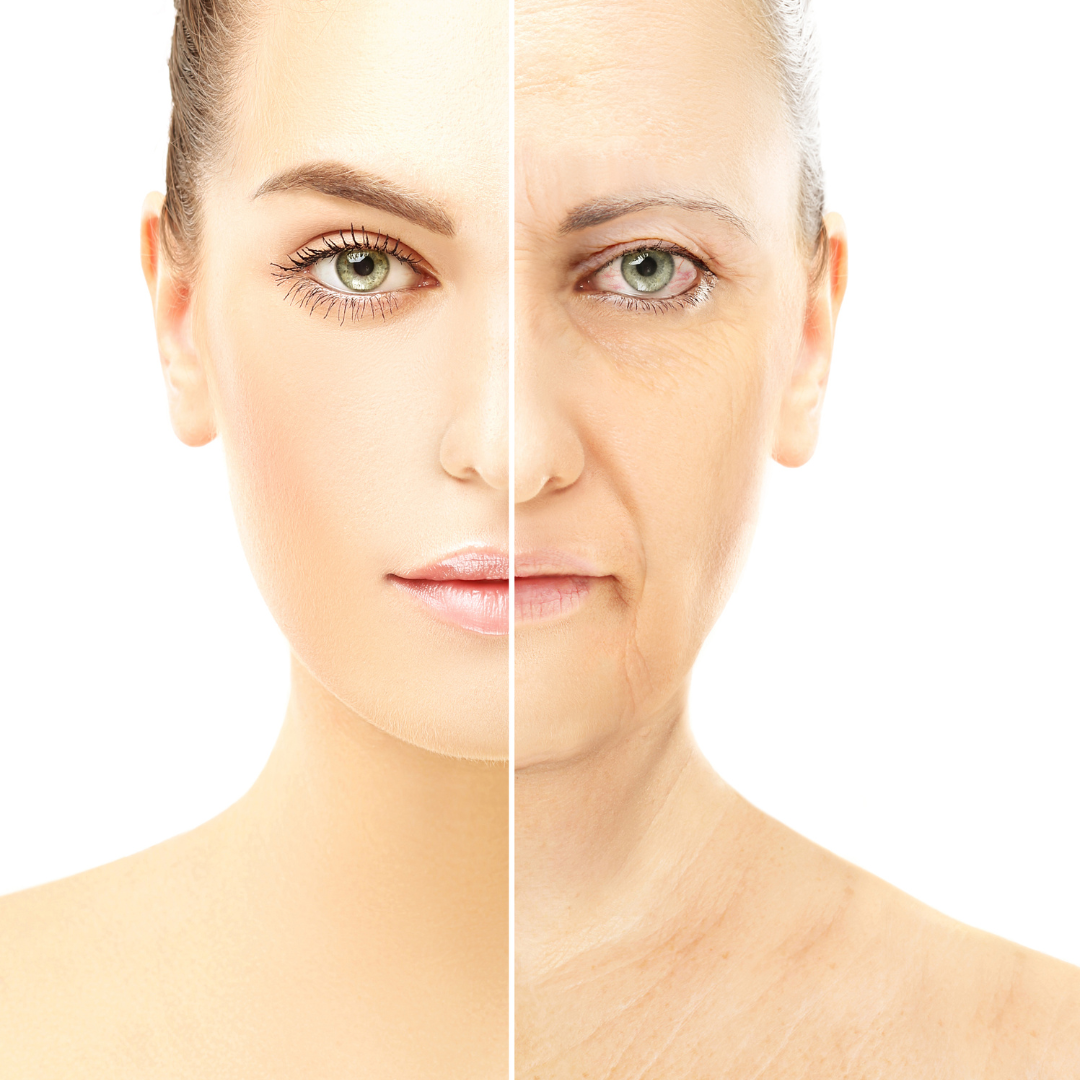 Skin Aging Process