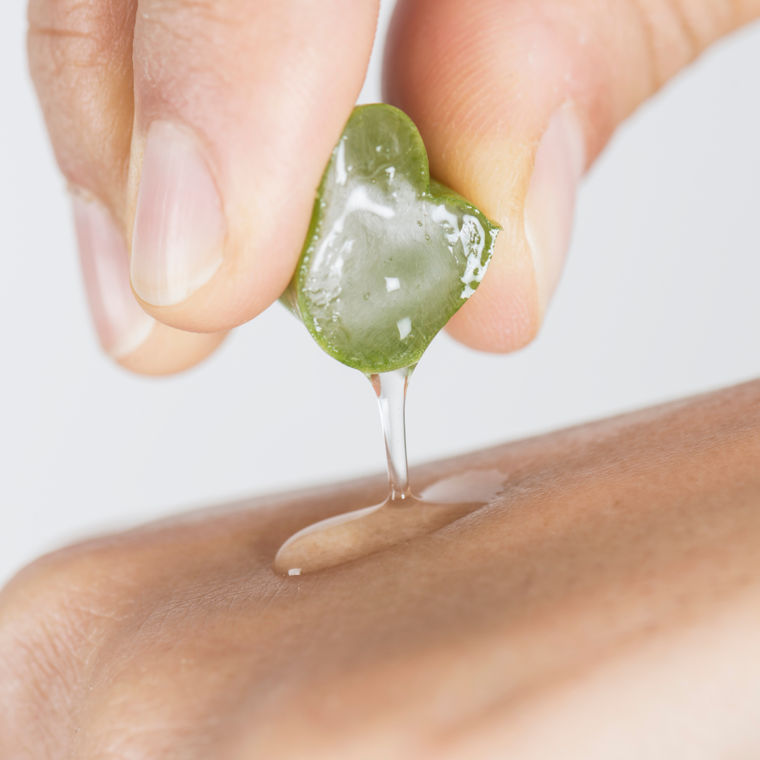 How Aloe Vera Can Transform Your Skin