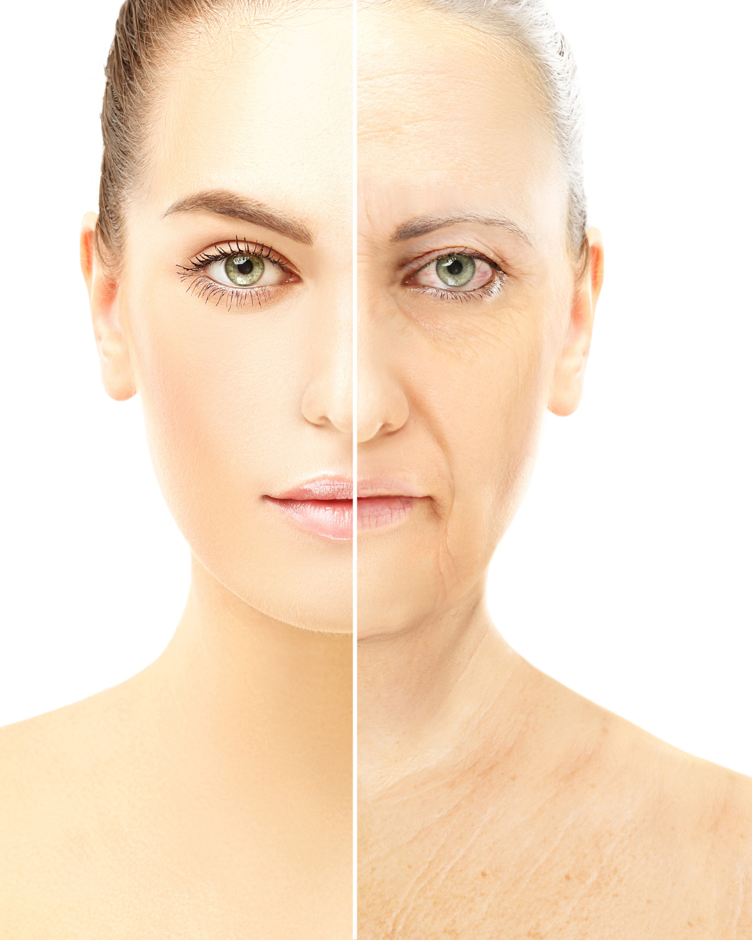 Delve into the Skin Ageing Process